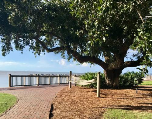 A large tree shades a pathway by the water, with a hammock strung between posts and a wooden railing in the background.