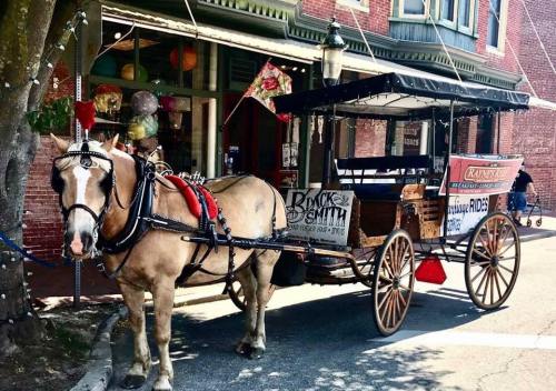 A horse-drawn carriage parked outside a building, featuring a sign for rides and colorful decorations.