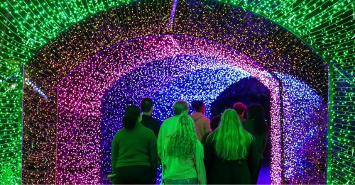 A group of people walks through a colorful, illuminated archway made of vibrant lights.