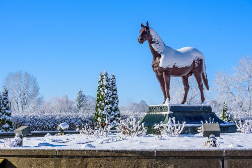 A snow-covered horse statue stands on a pedestal, surrounded by frosted trees and a clear blue sky.