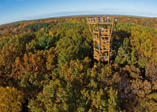 A tall wooden observation tower surrounded by vibrant autumn foliage and a clear blue sky.