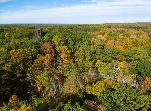 Aerial view of a vibrant forest in autumn, showcasing colorful foliage and a distant observation tower.