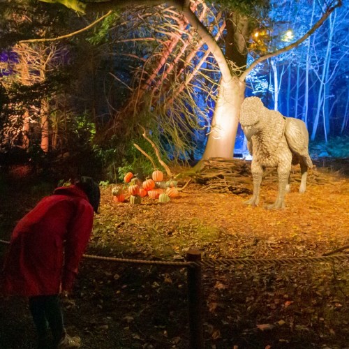 A child in a red jacket observes a large, illuminated animal sculpture in a forest setting with colorful pumpkins.
