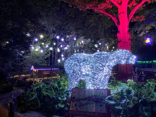 A lit-up bear sculpture surrounded by colorful lights and trees in a festive outdoor setting.