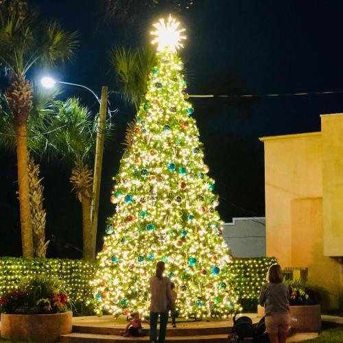 A brightly lit Christmas tree adorned with colorful ornaments, surrounded by festive lights and people enjoying the scene.