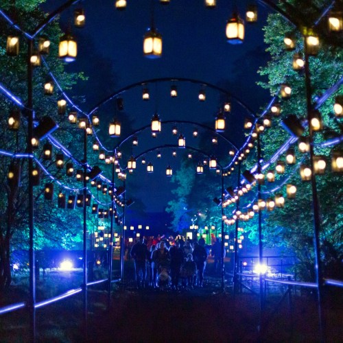 A dimly lit pathway adorned with glowing lanterns, leading a group of people through a serene, nighttime setting.