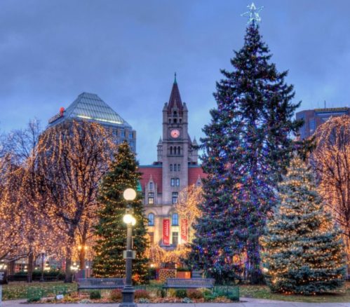 A festive scene featuring a large Christmas tree and illuminated buildings in a city square at dusk.