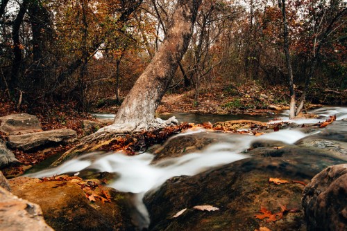 A serene stream flows over rocks, surrounded by autumn foliage and trees in a tranquil forest setting.
