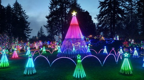 Colorful Christmas lights illuminate a park, featuring a large tree and smaller trees, creating a festive holiday scene.