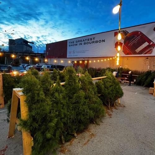 A festive outdoor scene with Christmas trees, string lights, and a large sign reading "The Greatest Show in Bourbon."