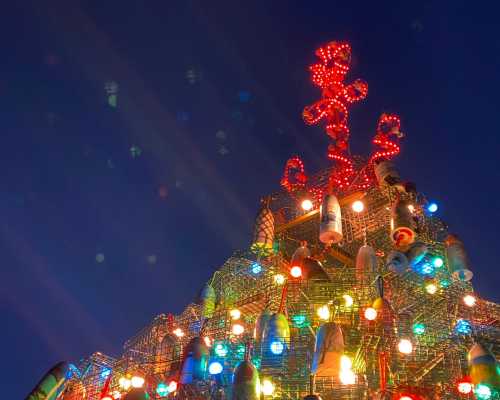 A brightly lit Christmas tree topped with a red star, adorned with colorful lights against a twilight sky.