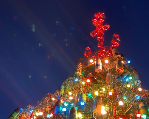 A brightly lit Christmas tree topped with a red star, adorned with colorful lights against a twilight sky.