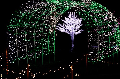 A glowing archway of green and white lights frames a bright white tree in a dark setting.