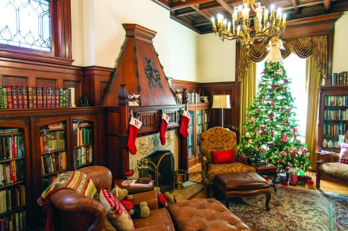 Cozy living room decorated for Christmas, featuring a tree, stockings, bookshelves, and a fireplace.