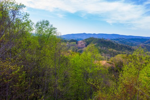 Lush green trees in the foreground with rolling hills and a blue sky in the background.