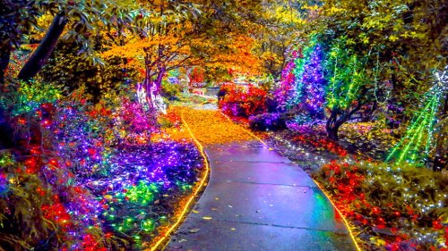 A vibrant garden path illuminated with colorful lights, surrounded by autumn foliage and glowing decorations.