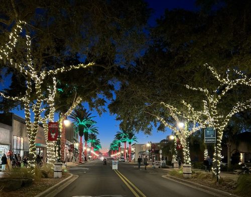 A festive street lined with trees adorned with lights, leading to palm trees, under a twilight sky.