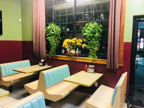 Cozy diner interior with teal booths, a window adorned with plants and sunflowers, and a warm color scheme.