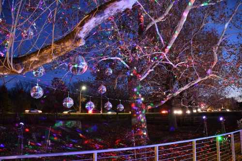 A tree adorned with disco balls and colorful lights, creating a festive atmosphere at dusk.