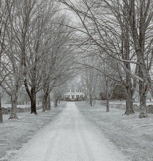 A gravel driveway lined with bare trees leads to a white house in a serene, wintry landscape.