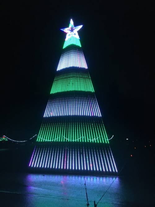 A brightly lit Christmas tree made of colorful lights, glowing against a dark night sky.