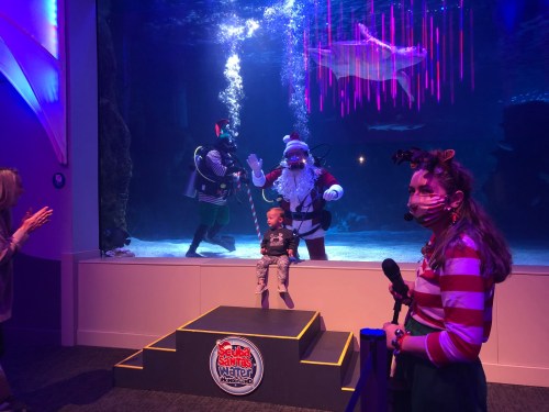 A child sits on a stage while divers in Santa costumes perform underwater in an aquarium.