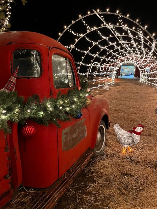 A vintage red truck decorated with greenery and ornaments, beside a sparkling chicken, under a lit archway.