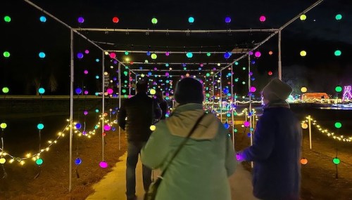 A colorful light display with vibrant, glowing orbs illuminates a path as people walk through it at night.