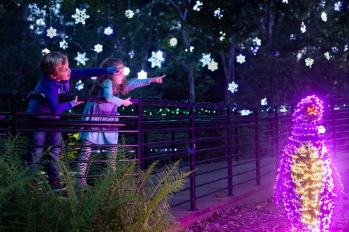 Two children point excitedly at a brightly lit penguin decoration surrounded by colorful lights in a festive outdoor setting.