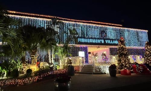 A festive building adorned with colorful lights and decorations for the holiday season, surrounded by palm trees.