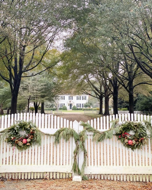 A white picket fence adorned with wreaths, leading to a large house surrounded by trees in a serene setting.