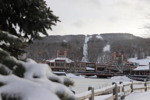 Snow-covered landscape featuring a ski resort with slopes in the background and trees in the foreground.