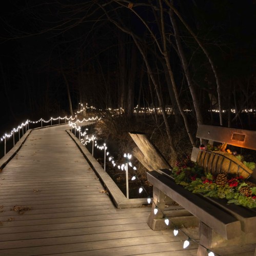 A wooden walkway illuminated by string lights, with a decorated bench and surrounding trees at night.