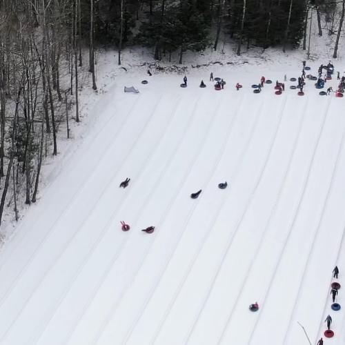 A snowy hill with people sledding down, surrounded by trees, creating a lively winter scene.