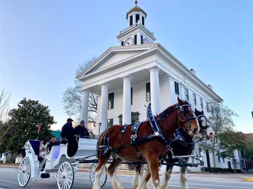 A horse-drawn carriage with passengers passes by a historic white building with columns and a clock tower.