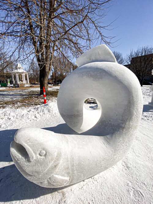 A large, spiral ice sculpture of a fish in a snowy park, with trees and a gazebo in the background.