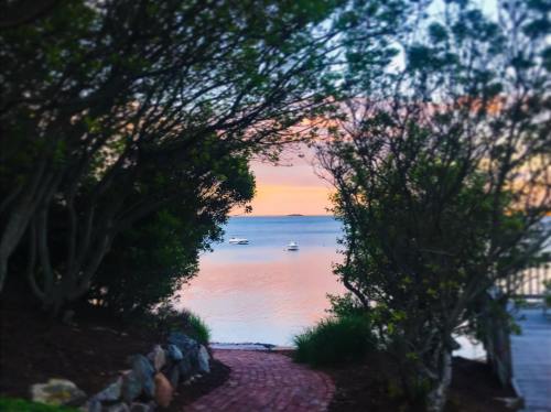 A serene view of a calm sea framed by trees and a brick pathway, with a pastel sunset in the background.