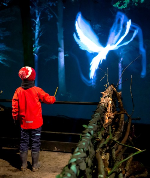 A child in a red jacket watches a glowing bird projection in a dark forest setting.
