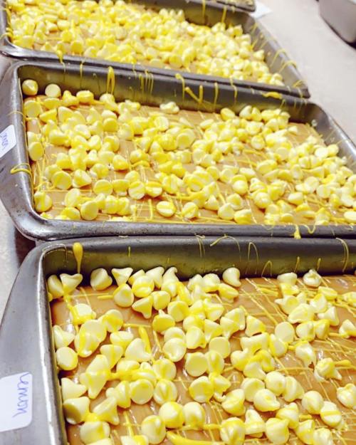 Trays of caramel topped with yellow chocolate chips, drizzled with yellow icing, ready to set.