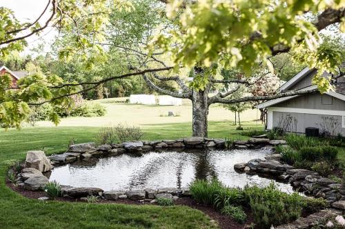A serene garden pond surrounded by rocks and greenery, with a tree and a house in the background.