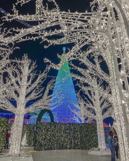 A festive scene featuring a large illuminated Christmas tree surrounded by glowing white trees and colorful lights.