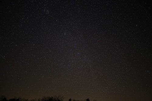 A clear night sky filled with countless stars, set against a dark backdrop with silhouettes of trees at the bottom.