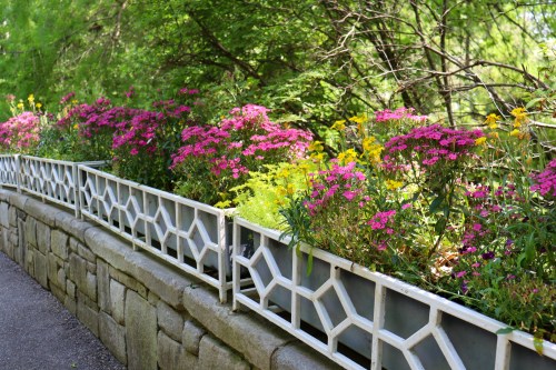 A stone wall lined with vibrant pink and yellow flowers, surrounded by lush green foliage.