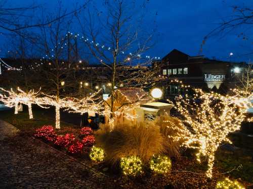 A nighttime scene featuring trees and bushes adorned with festive lights, creating a warm, inviting atmosphere.