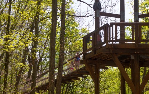 A wooden bridge connects to a treehouse, surrounded by lush green trees in a sunny forest setting.