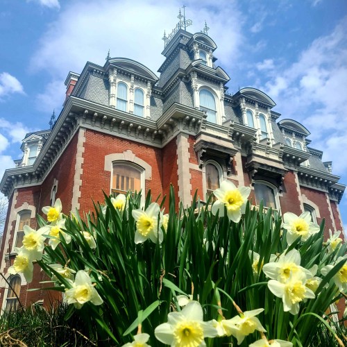 A historic mansion with ornate architecture, surrounded by blooming daffodils under a blue sky.