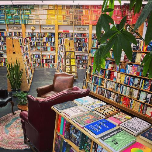 Cozy bookstore interior with colorful bookshelves, a reading chair, and a table stacked with books. Green plants add warmth.