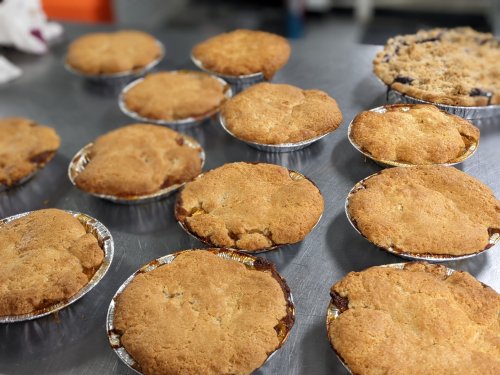 A variety of freshly baked pies with golden brown crusts, arranged on a metal surface.