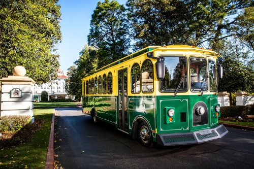 A green and yellow trolley bus parked on a tree-lined road near a large building.