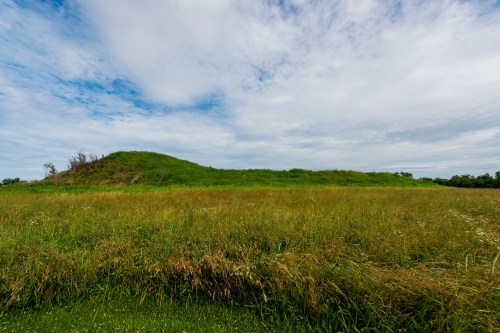 A grassy landscape featuring a small hill under a cloudy sky, surrounded by tall grass and sparse trees.